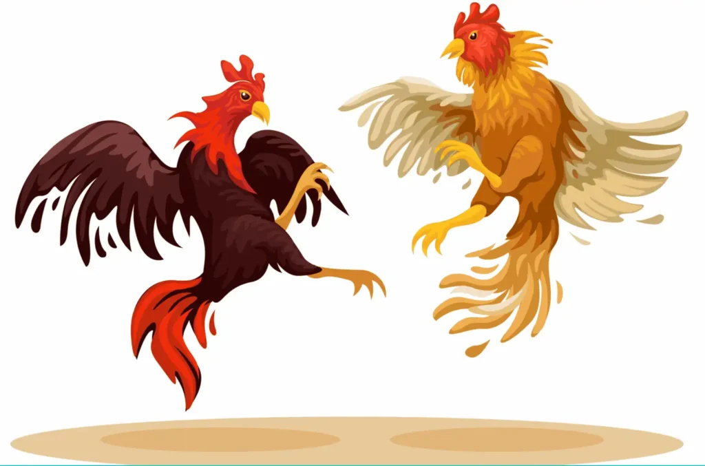 Superchicken experiment